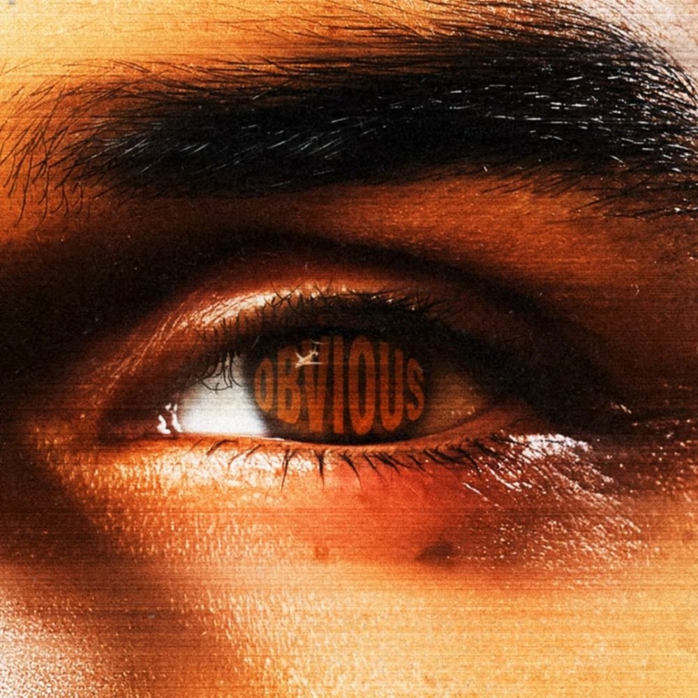 Chris Brown Obvious single cover